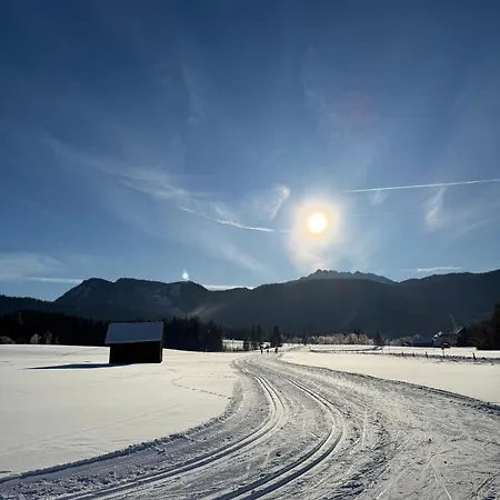 Alploft Top1 Lejlighed *