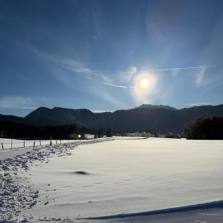 Lejlighed Alploft Top1 *